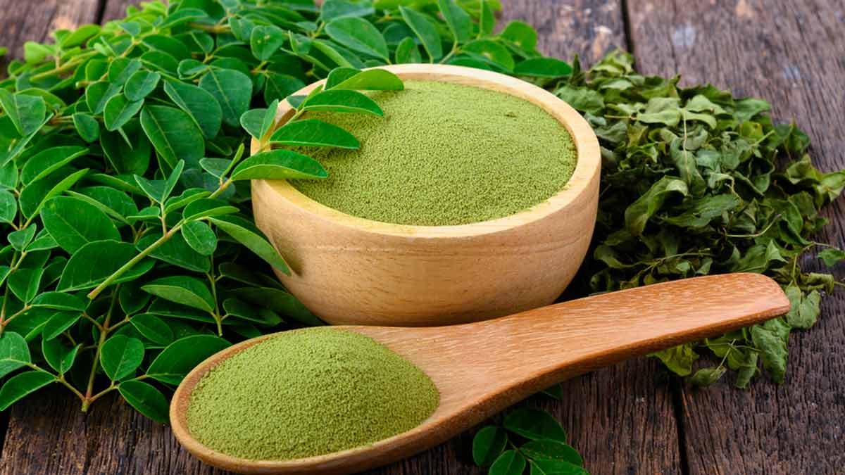 Moringa Oleifera Leaves Powder